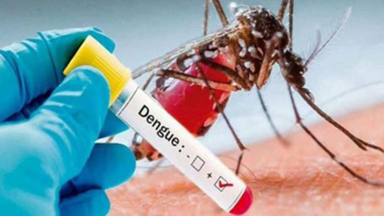 Virus outbreak
