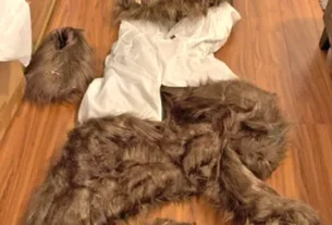 Bear Scam