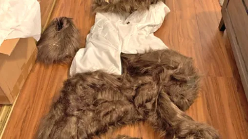Bear Scam