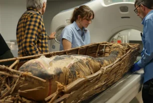 Egyptian Mummies