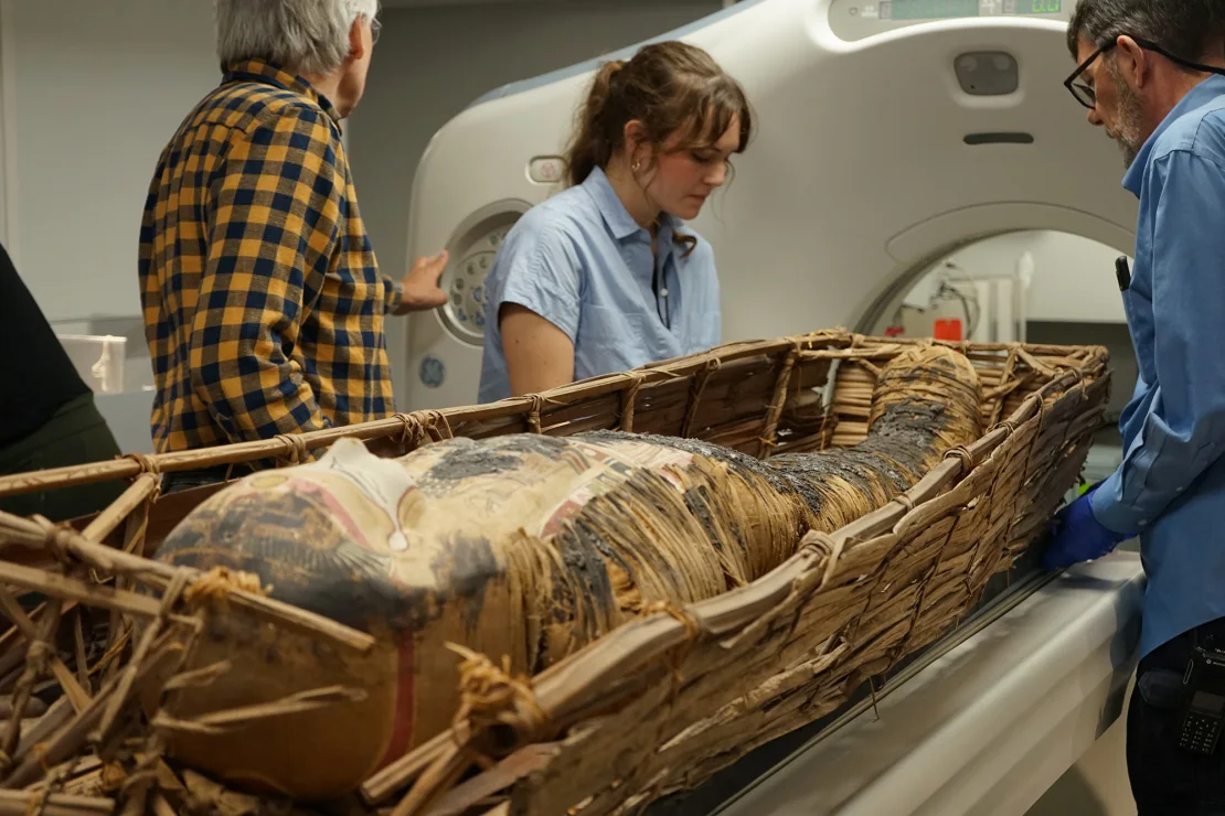 Egyptian Mummies