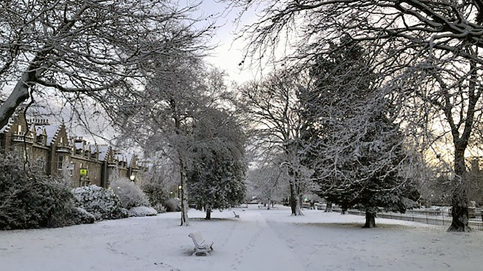 Snow Warning